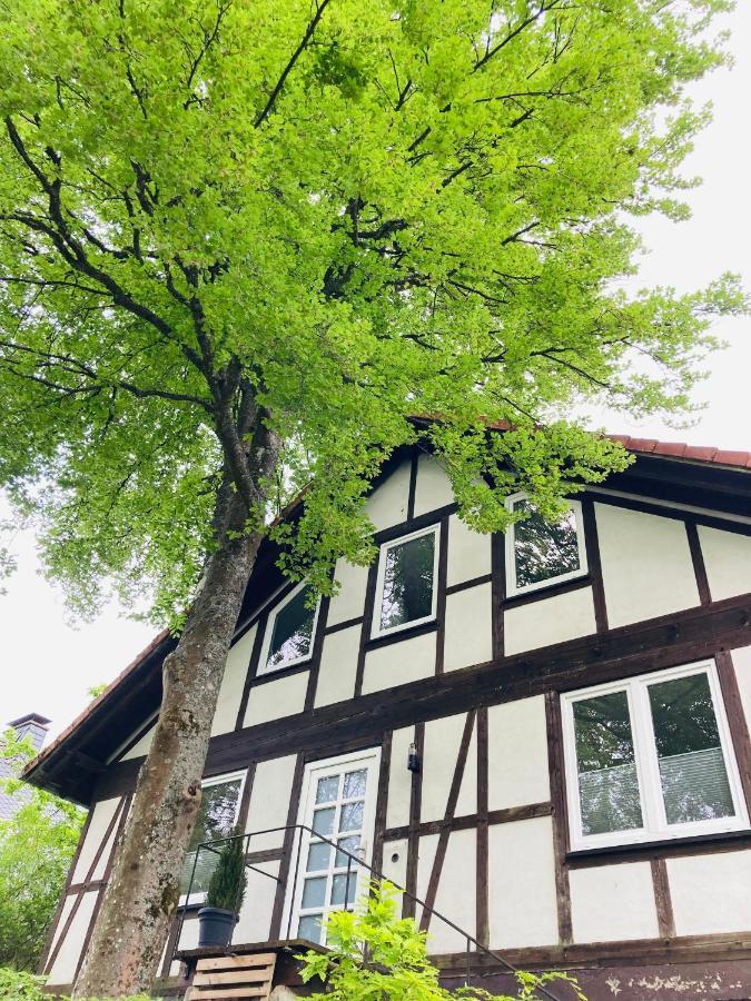 Ferienhaus Am Wald Villa Kaisersesch Exteriör bild